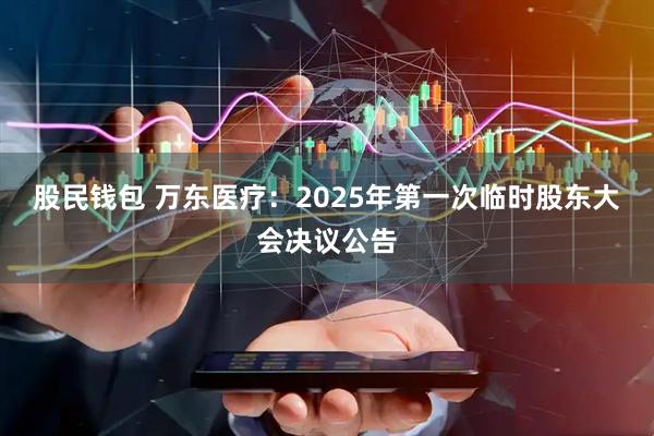 股民钱包 万东医疗：2025年第一次临时股东大会决议公告