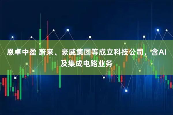 恩卓中盈 蔚来、豪威集团等成立科技公司，含AI及集成电路业务
