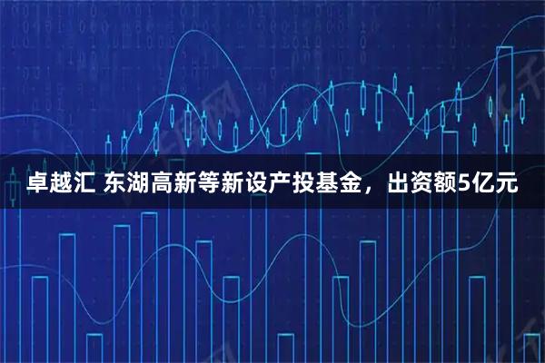 卓越汇 东湖高新等新设产投基金，出资额5亿元