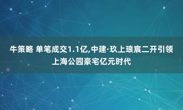 牛策略 单笔成交1.1亿,中建·玖上琅宸二开引领上海公园豪宅亿元时代