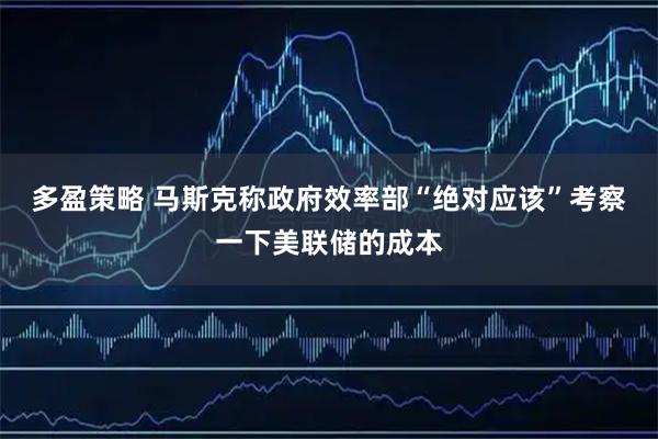 多盈策略 马斯克称政府效率部“绝对应该”考察一下美联储的成本